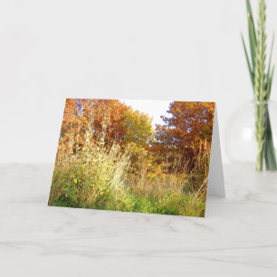Tarjeta Colores de la caída en la carta Oak Park, Peoria,