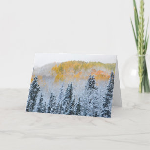 Tarjeta Colores de otoño de Aspens y nieve fresca Keebler 