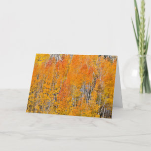 Tarjeta Colores de otoño en arboledas de álamos