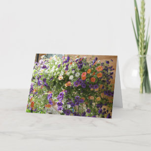 Tarjeta Colores de petunias, pensando en usted rezo