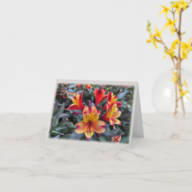 Tarjeta Colores de verano (flor amarilla)