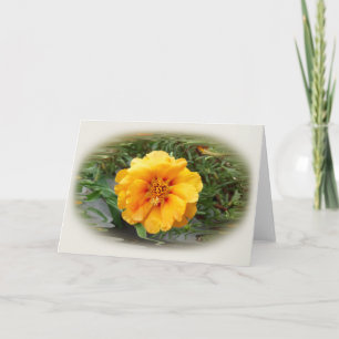 Tarjeta Colores de verano