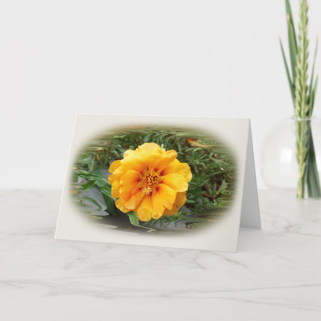 Tarjeta Colores de verano (Anverso)