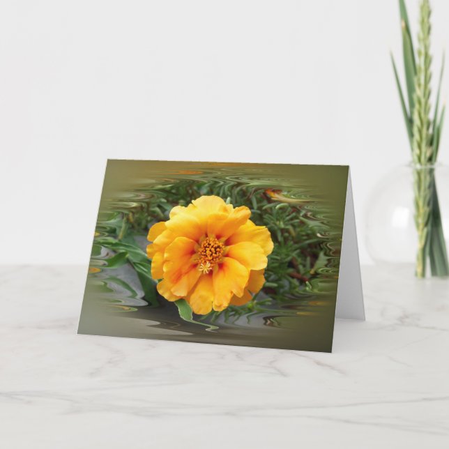 Tarjeta Colores de verano (Anverso)