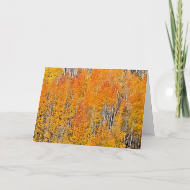 Tarjeta Colores otoñales en los bosques de Aspen (Anverso)