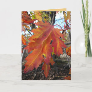 Tarjeta Colores verdaderos