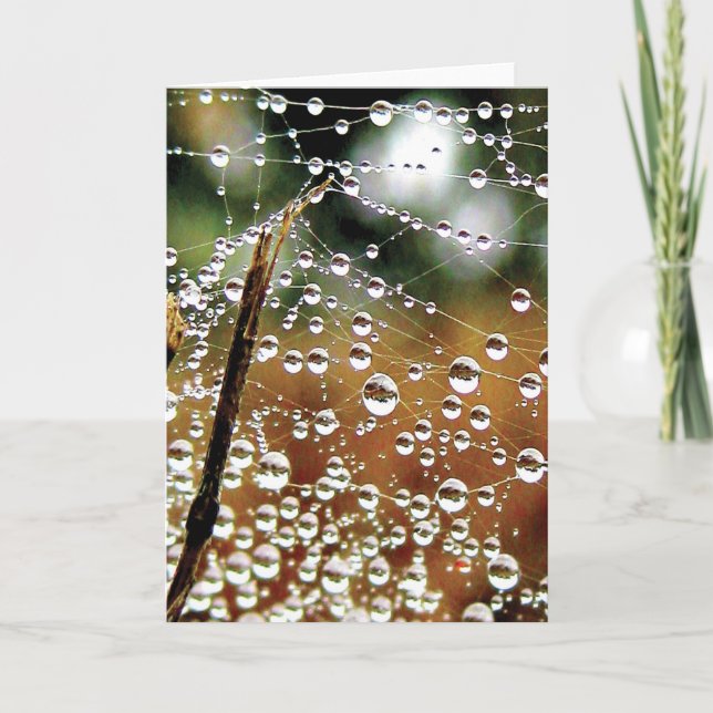 Tarjeta Colorida cascada de excremento (Anverso)