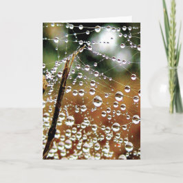 Tarjeta Colorida cascada de excremento