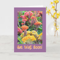 COLORIDA CELOSIA GARDEN/ BIEN/PERSONALIZABLE TE