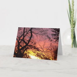 Tarjeta Colorida puesta de sol a través de los árboles des