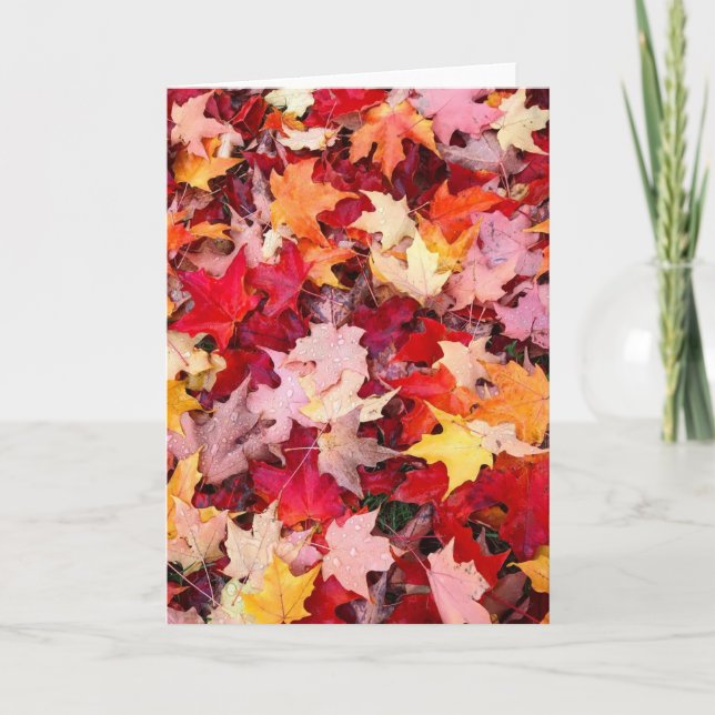 Tarjeta Coloridas hojas otoñales (Anverso)