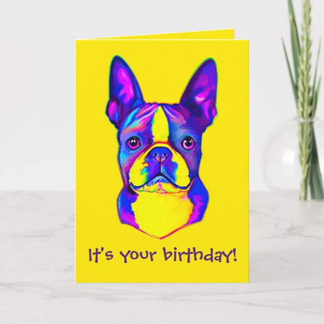Tarjeta Colorido y feliz cumpleaños, Boston Terrier (Anverso)