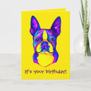 Tarjeta Colorido y feliz cumpleaños, Boston Terrier