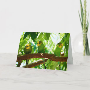 Tarjeta Coloridos bueyes verdes en una rama de árbol