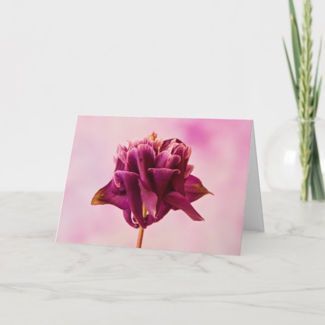 Tarjeta Columbina rosa de Borgoña (Anverso)