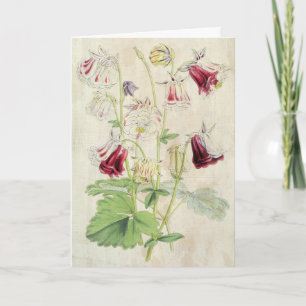 Tarjeta Columbina vintage de doble carnación a rayas