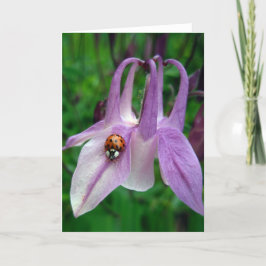 Tarjeta Columbine 2