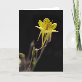 Tarjeta Columbine amarillo