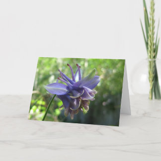 Tarjeta Columbine azul suave