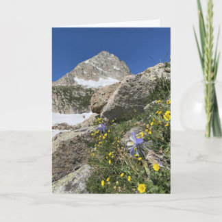 Tarjeta Columbine Bajo Paiute Peak Card