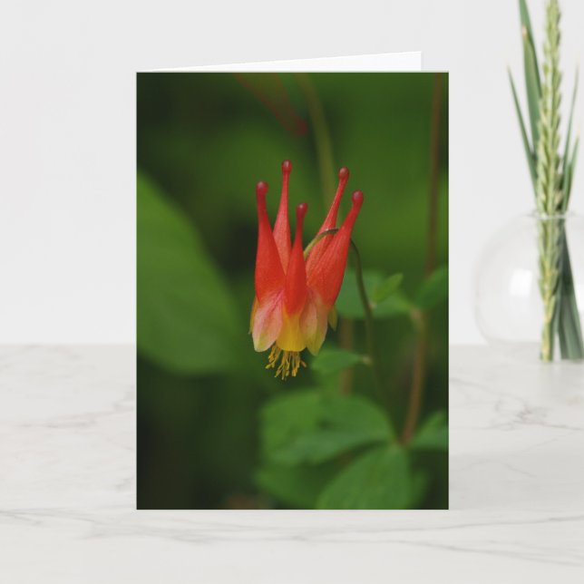 Tarjeta Columbine rojo 09 (Anverso)