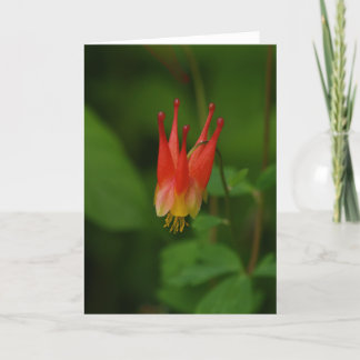 Tarjeta Columbine rojo 09