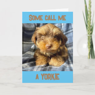 TARJETA COMEDIAN YORKSHIRE TERRIER DICE "FELIZ CUMPLEAÑOS"
