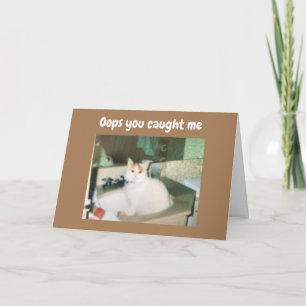 TARJETA COMEDIC TURKISH VAN DICE FELIZ CUMPLEAÑOS