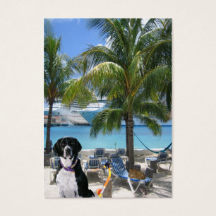 Tarjeta comercial "imaginativa" del perro de Scuba