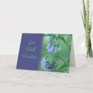 Tarjeta Comfrey Get Well Wings o cualquier personalizar oc