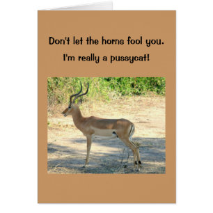 tarjeta, cómica, "No dejes que los cuernos te enga