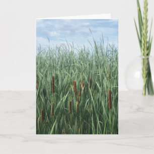 Tarjeta Comidas con Blue Sky Green Brown