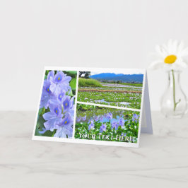 Tarjeta Common Water Hyacinth