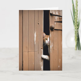 Tarjeta Cómo conseguir un gato viejo para el cumpleaños