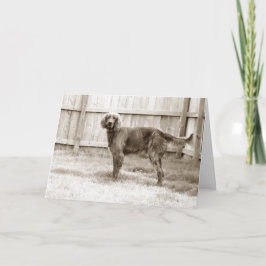 Tarjeta ¿Cómo estás?