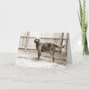 Tarjeta ¿Cómo estás?