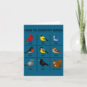 Tarjeta Cómo identificar un pájaro divertido observación d