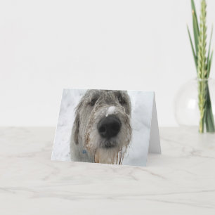 Tarjeta ¿Cómo Lo Haces?