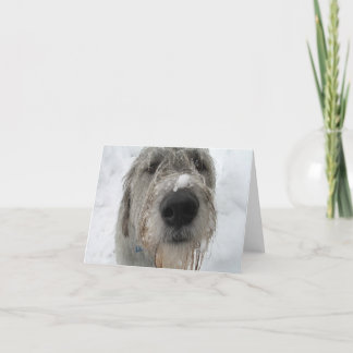 Tarjeta ¿Cómo Lo Haces?