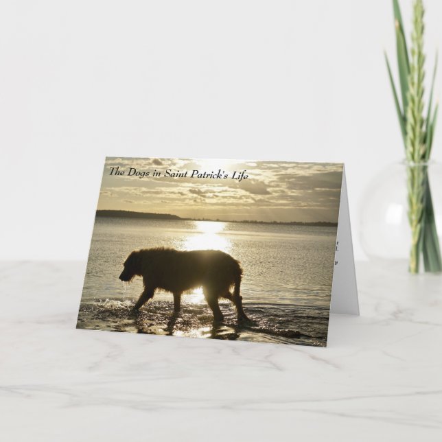 Tarjeta Cómo los perros inspiraron a St. Patrick (Anverso)