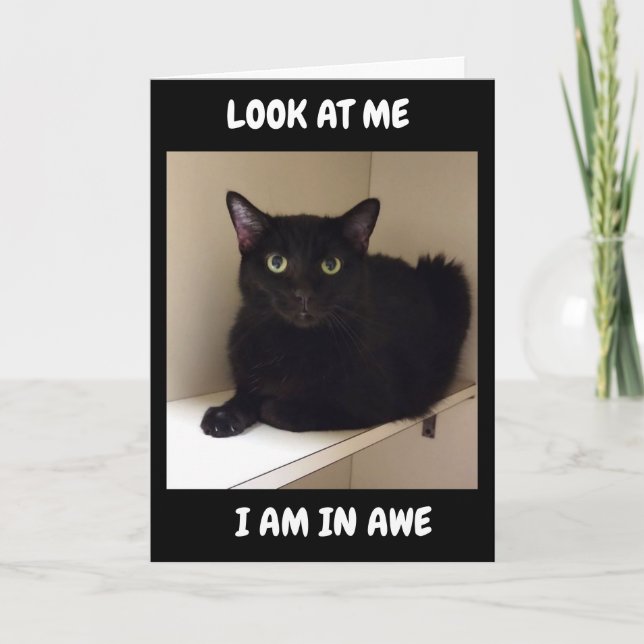 TARJETA CÓMO PUEDES VOLVER "50" (Anverso)