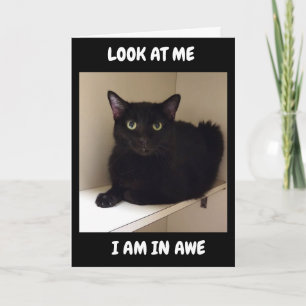 TARJETA CÓMO PUEDES VOLVER "50"