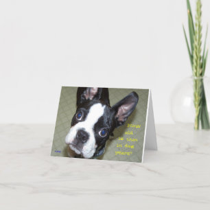 Tarjeta ¿Cómo viejo en años del perro?