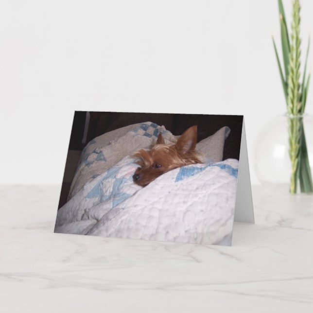 Tarjeta Comodidad de Alfie (Anverso)