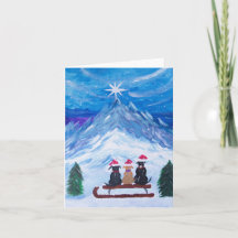 Compañeros de cachorro de invierno