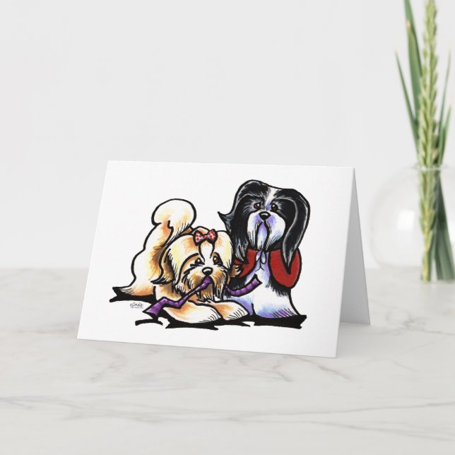 Tarjeta Compañeros de juego Havanese (Anverso)
