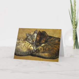 Tarjeta Compañeros del alma