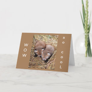 TARJETA COMPARTIR UN "CUMPLEAÑOS" CON "USTED" ES "TAN GUAY