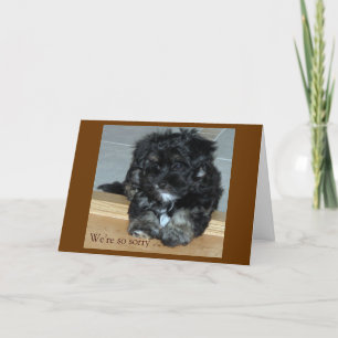 Tarjeta Compasión de los mascotas