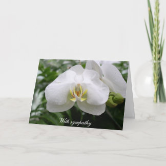 Tarjeta Compasión de orquídeas blancas